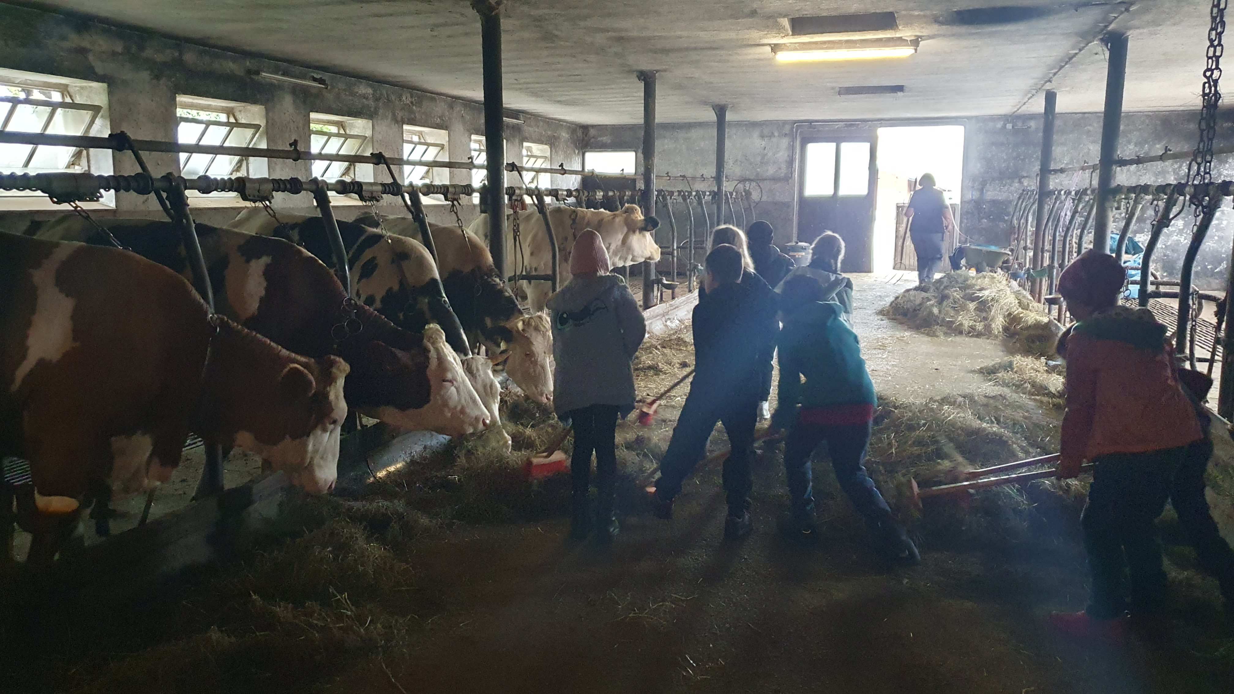 24 09 23 Bauernhof 7
