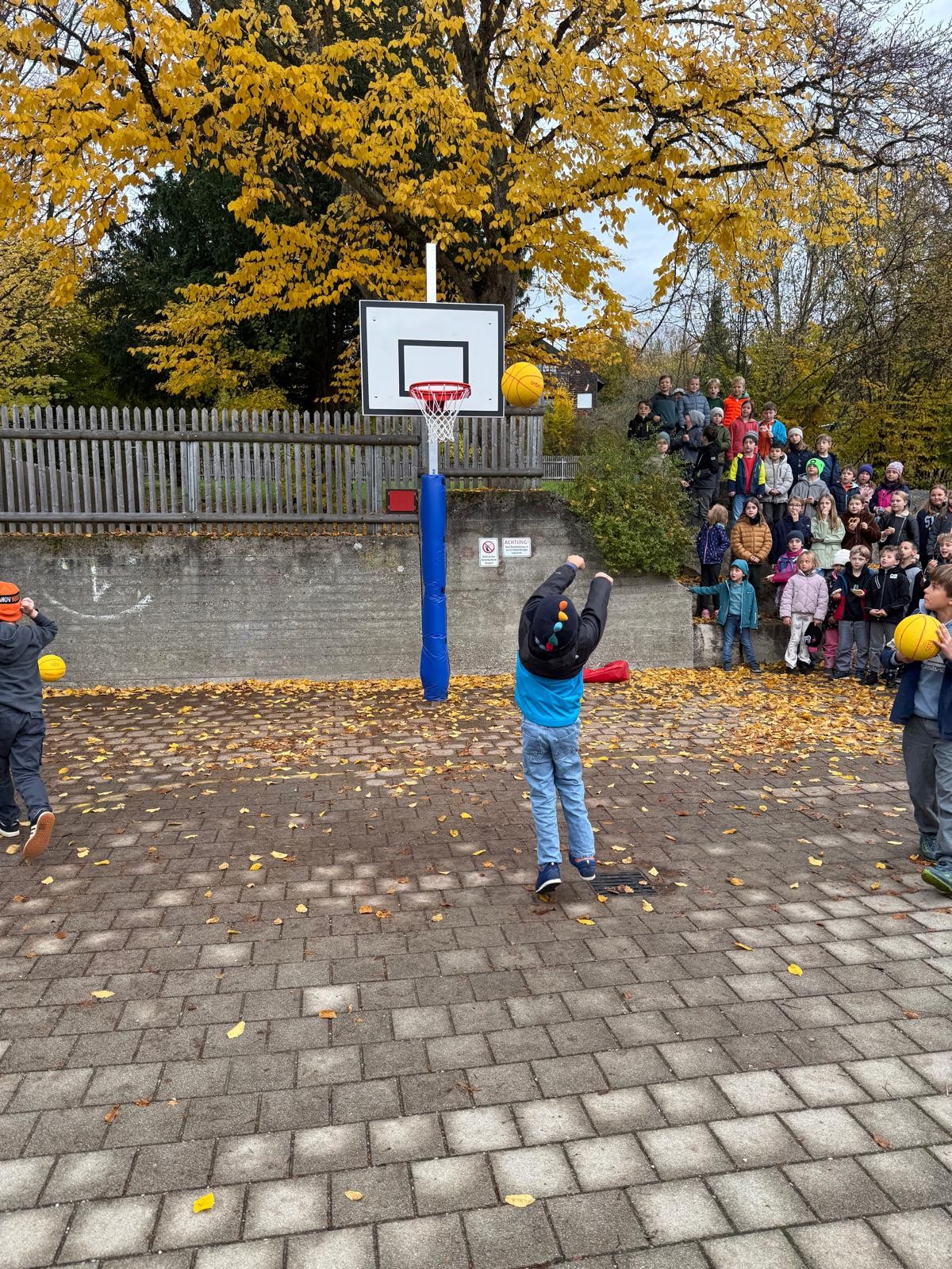 25 10 23 Basketballkorb