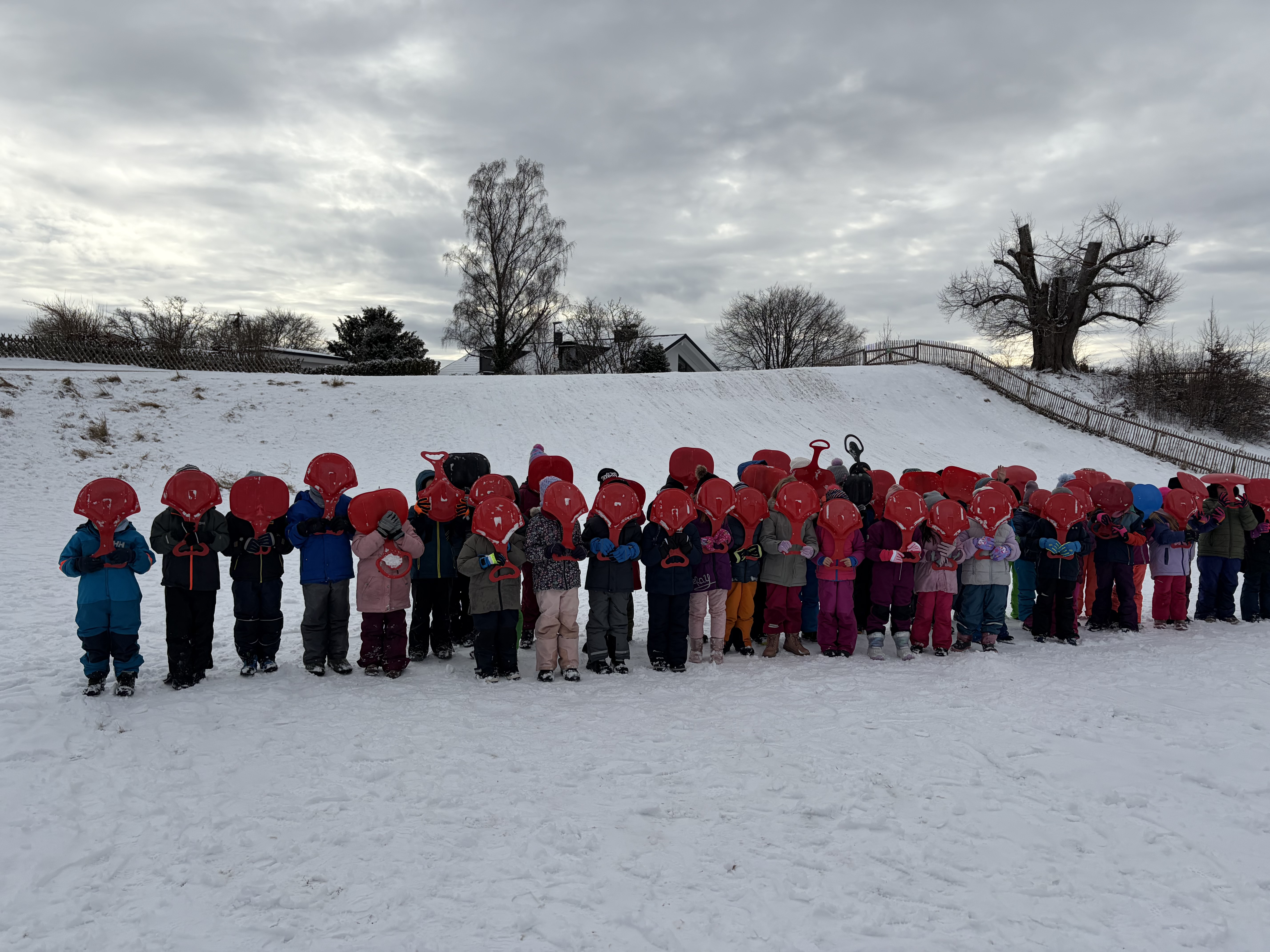 26 01 12 Rodeln 1g 3g